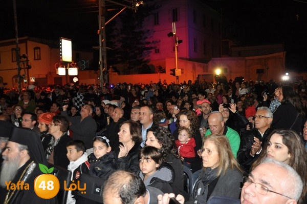 tree light 1208 (16).JPG